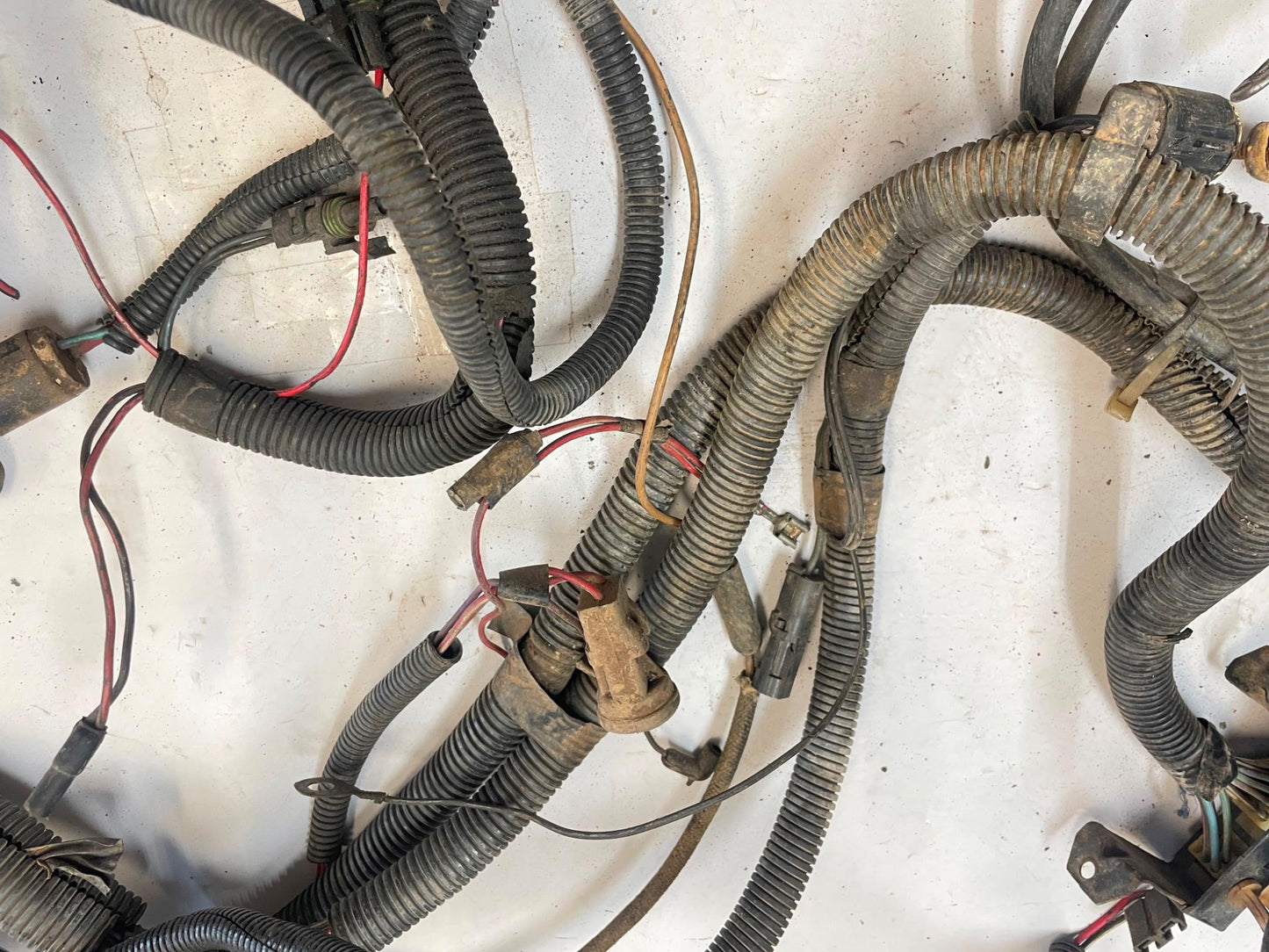 Jeep CJ 6 cylinder engine wire harness 83-86 CJ7 CJ8 AMC wiring 4.2 258