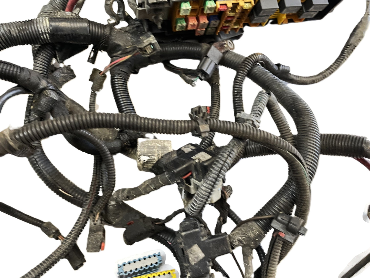 Jeep TJ 2000 Wrangler 4.0 Engine Auto Trans Wire Harness 56010285AF 56041443AI