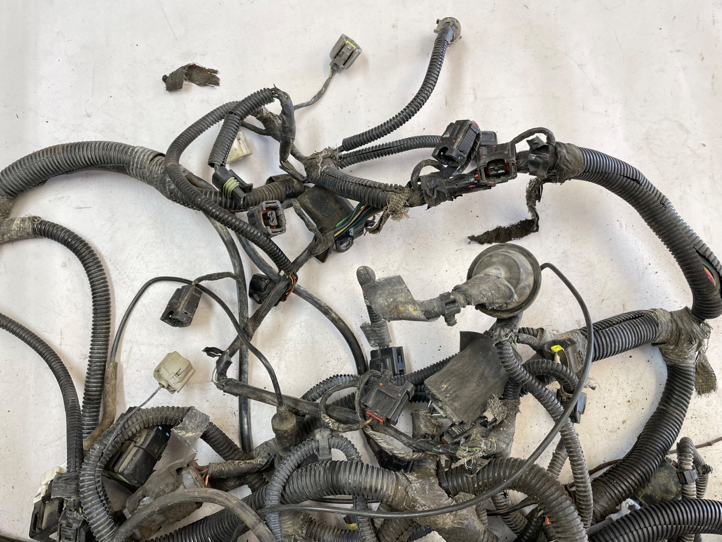 98 Jeep TJ Wrangler Engine Wire Harness Wiring P56010285AB 4 cylinder Auto 2.5!