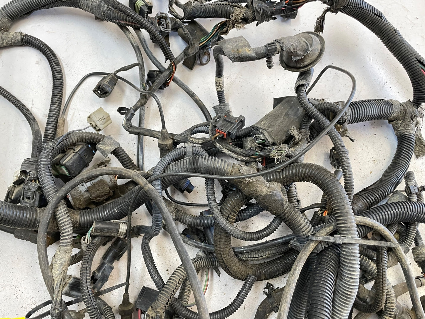 98 Jeep TJ Wrangler Engine Wire Harness Wiring P56010285AB 4 cylinder Auto 2.5!