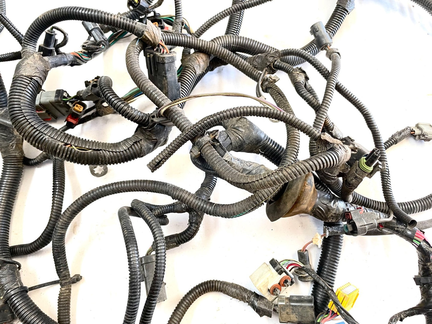 99Jeep TJ Wrangler Engine Wiring Harness 4.0 motor manual trans P56010350AE
