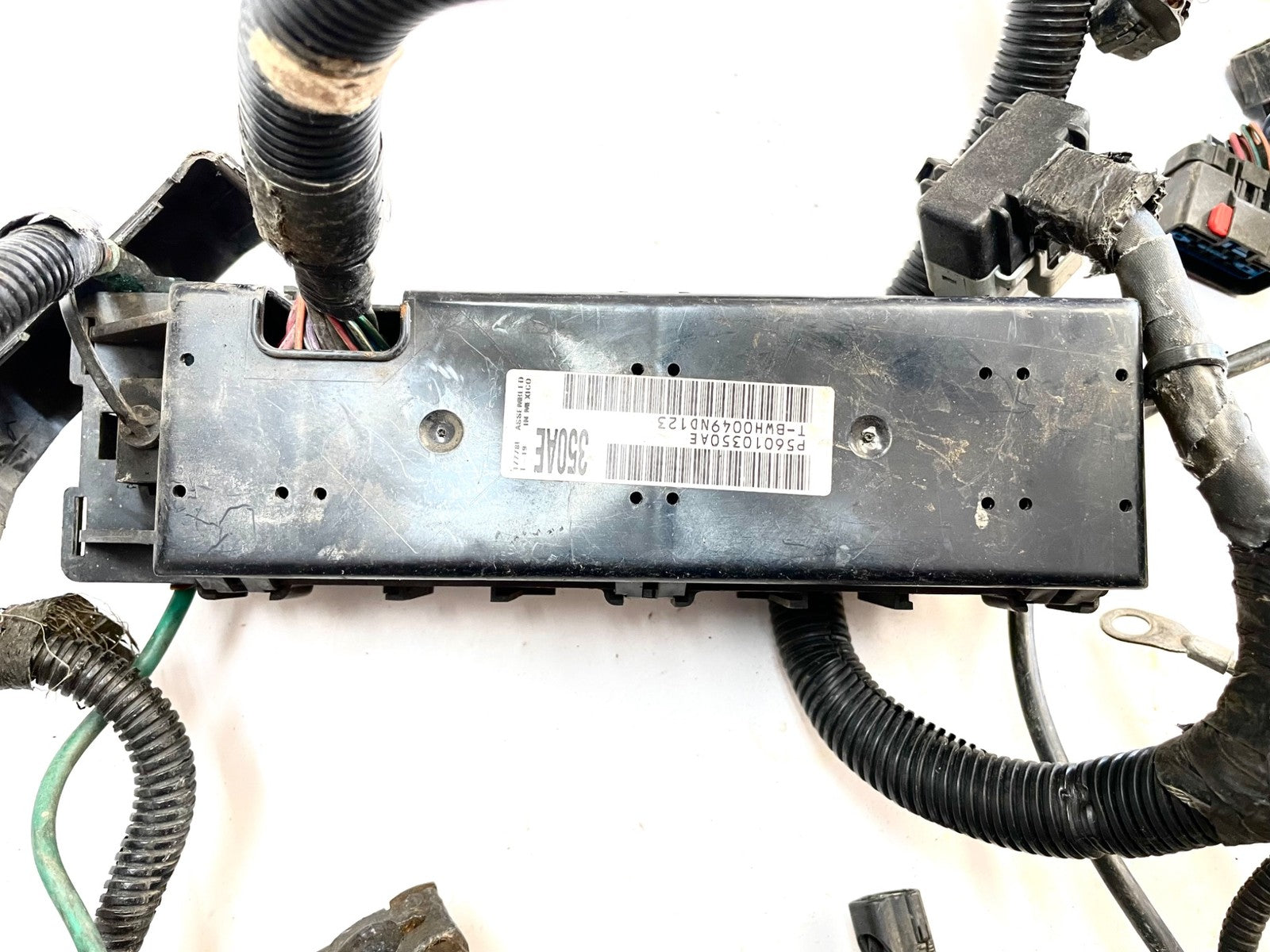 99Jeep TJ Wrangler Engine Wiring Harness 4.0 motor manual trans P56010350AE