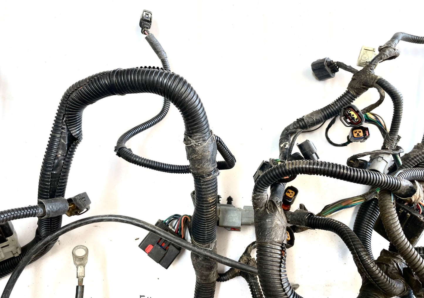 99Jeep TJ Wrangler Engine Wiring Harness 4.0 motor manual trans P56010350AE