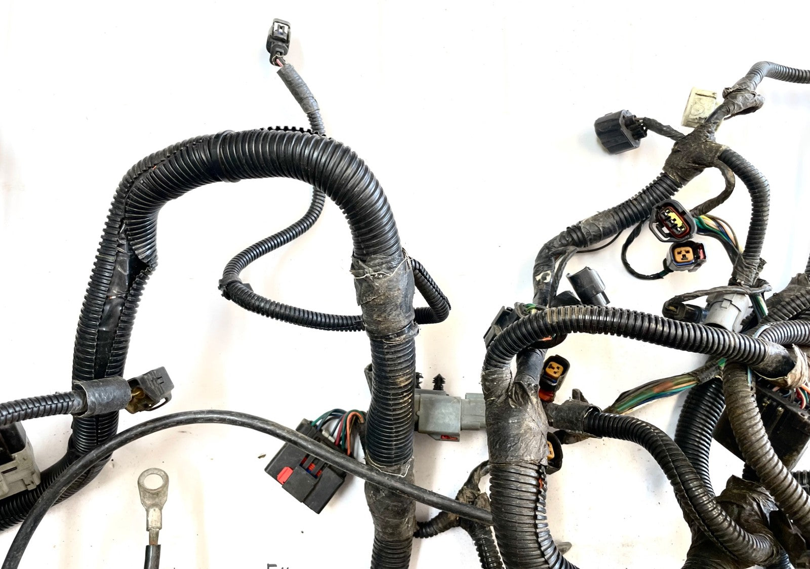 99Jeep TJ Wrangler Engine Wiring Harness 4.0 motor manual trans P56010350AE