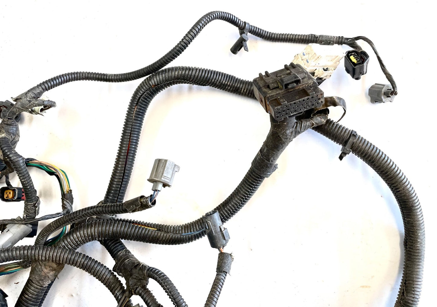 99Jeep TJ Wrangler Engine Wiring Harness 4.0 motor manual trans P56010350AE