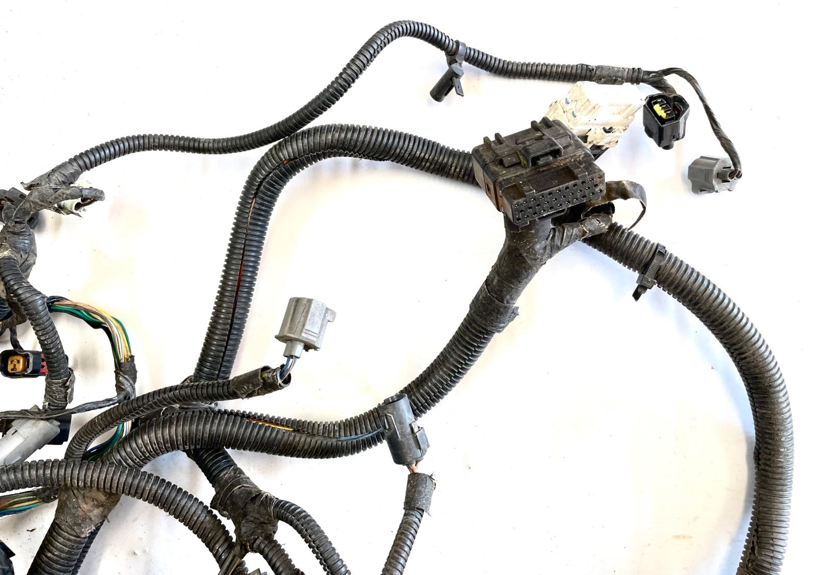 99Jeep TJ Wrangler Engine Wiring Harness 4.0 motor manual trans P56010350AE