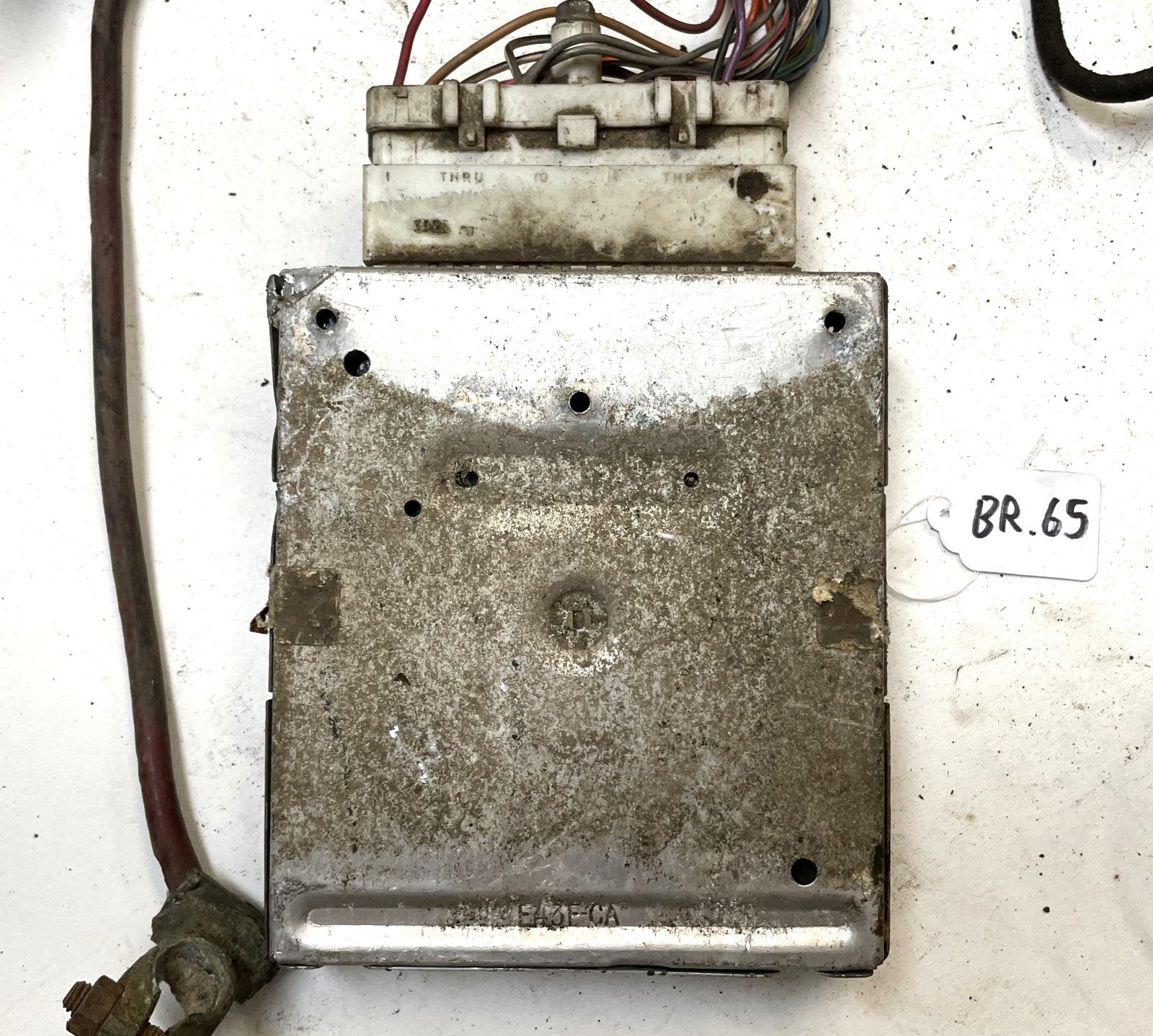 Jeep CJ 6 cylinder engine wiring harness 84-86 CJ7 CJ8 AMC wire 4.2 258 !