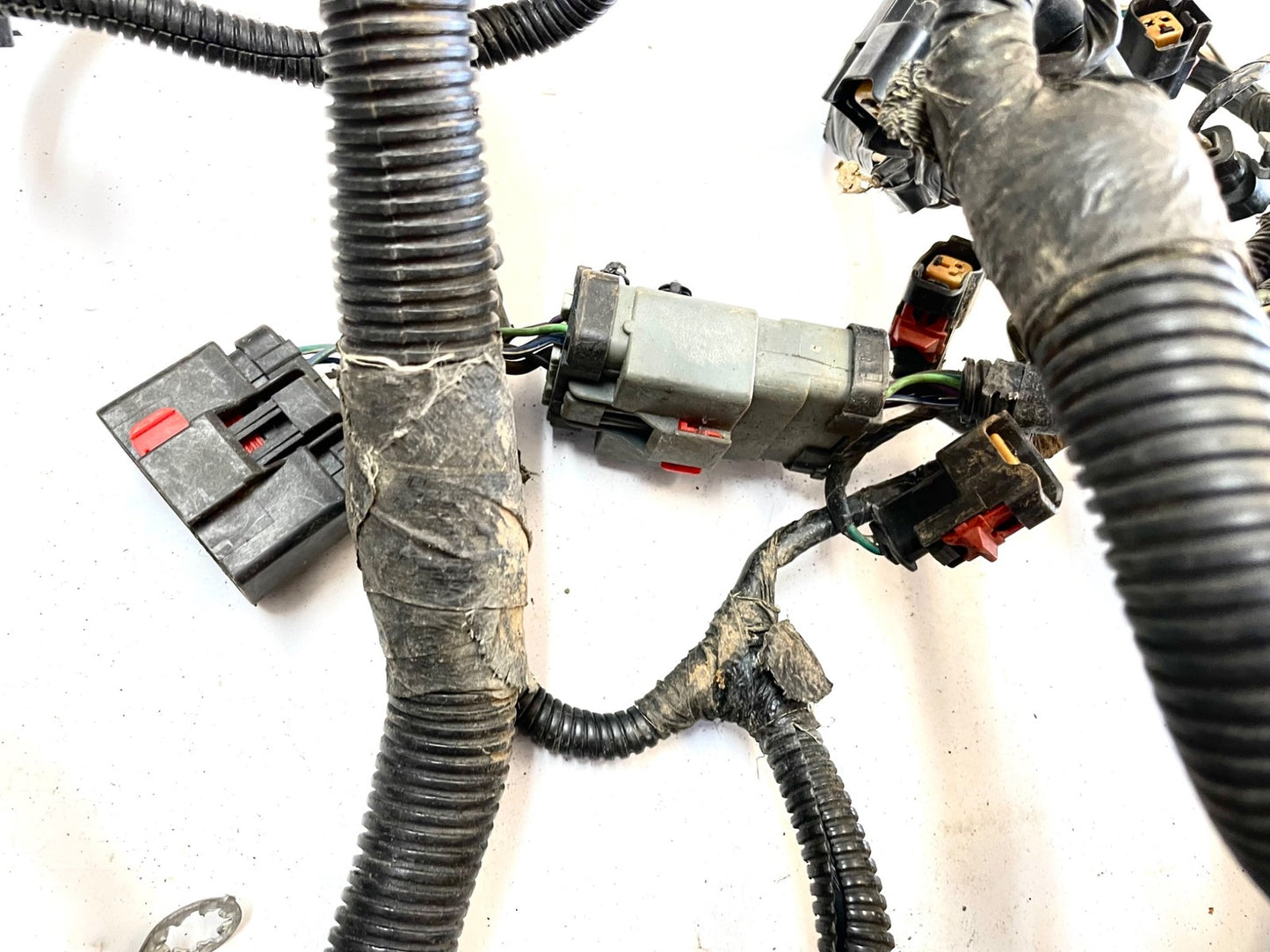 99Jeep TJ Wrangler Engine Wiring Harness 4.0 motor manual trans P56010350AE