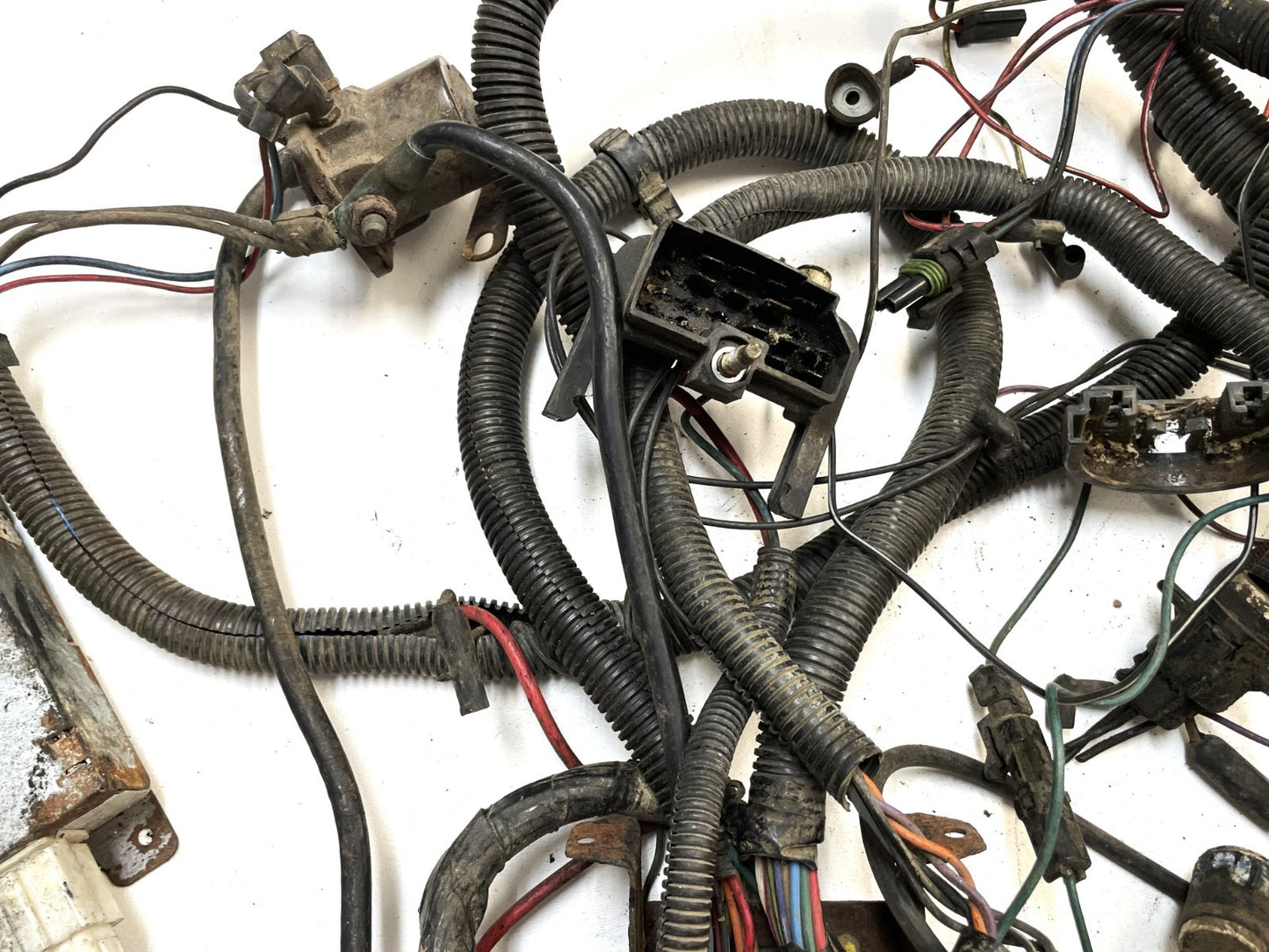 Jeep CJ 6 cylinder engine wiring harness 84-86 CJ7 CJ8 AMC wire 4.2 258