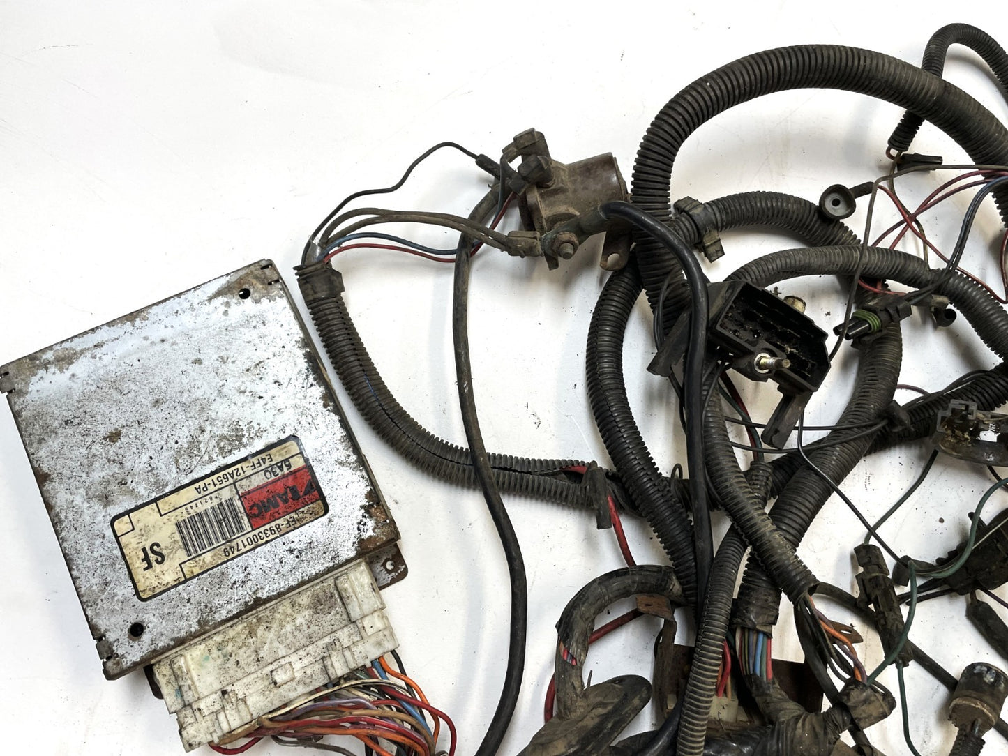 Jeep CJ 6 cylinder engine wiring harness 84-86 CJ7 CJ8 AMC wire 4.2 258