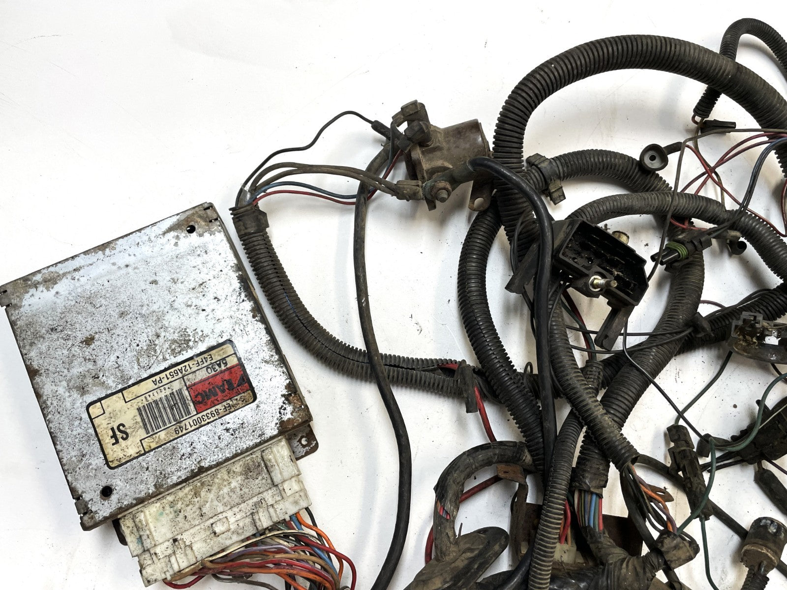 Jeep CJ 6 cylinder engine wiring harness 84-86 CJ7 CJ8 AMC wire 4.2 258