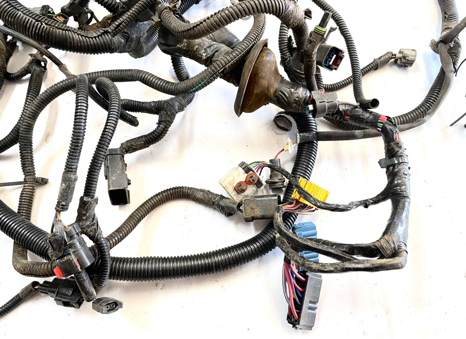 99Jeep TJ Wrangler Engine Wiring Harness 4.0 motor manual trans P56010350AE