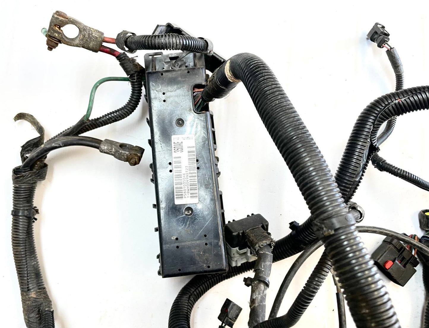 99Jeep TJ Wrangler Engine Wiring Harness 4.0 motor manual trans P56010350AE