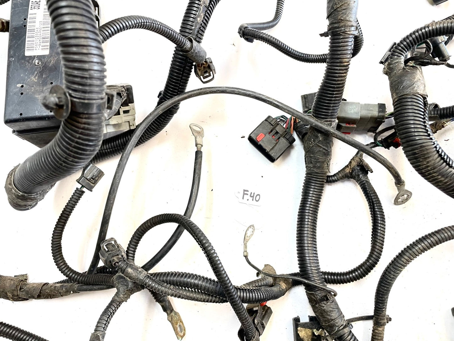 99Jeep TJ Wrangler Engine Wiring Harness 4.0 motor manual trans P56010350AE