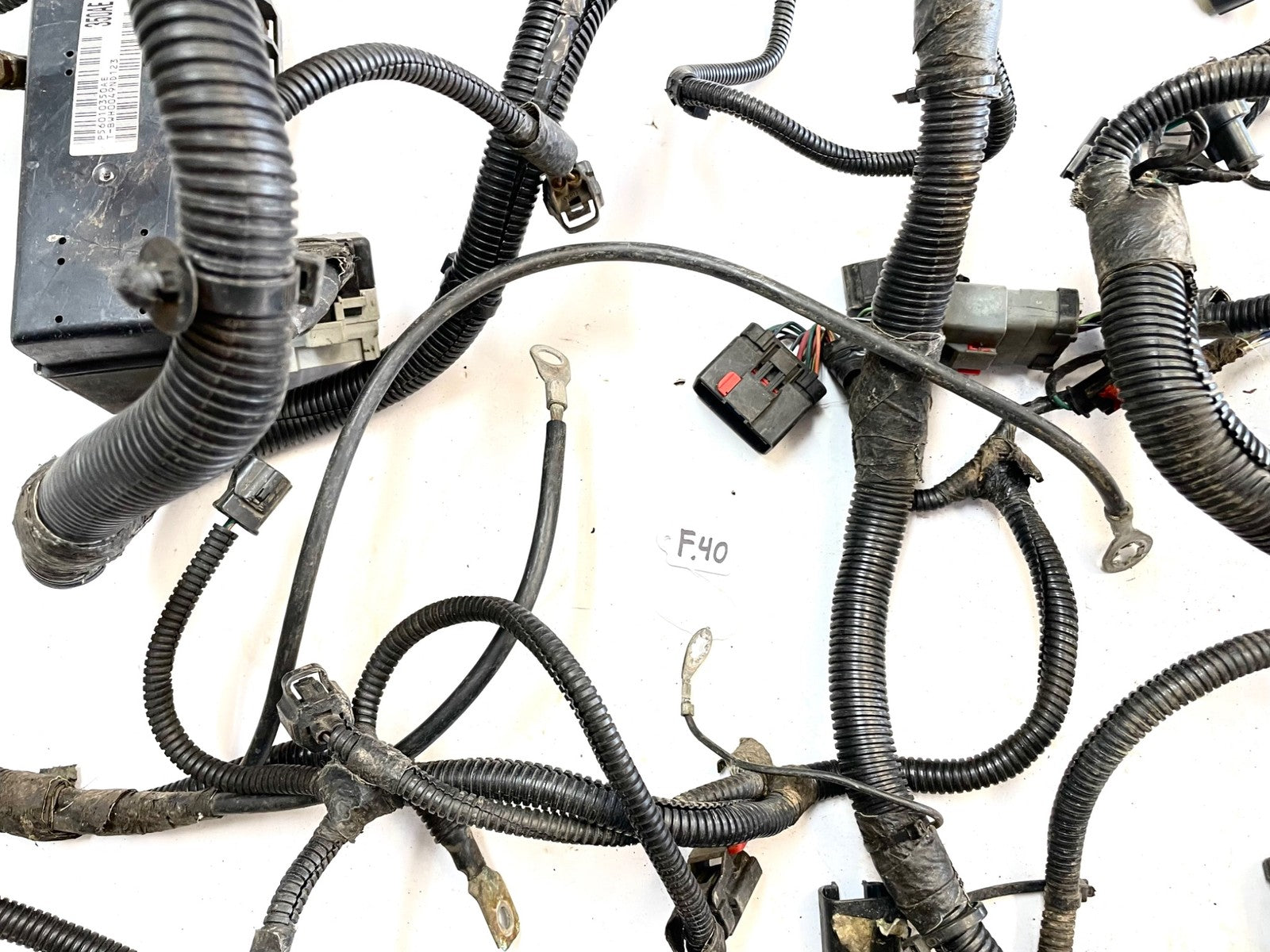 99Jeep TJ Wrangler Engine Wiring Harness 4.0 motor manual trans P56010350AE
