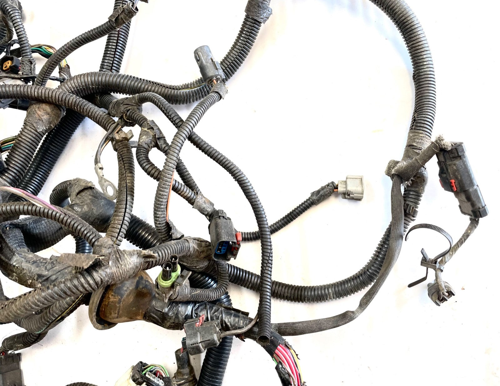 99Jeep TJ Wrangler Engine Wiring Harness 4.0 motor manual trans P56010350AE