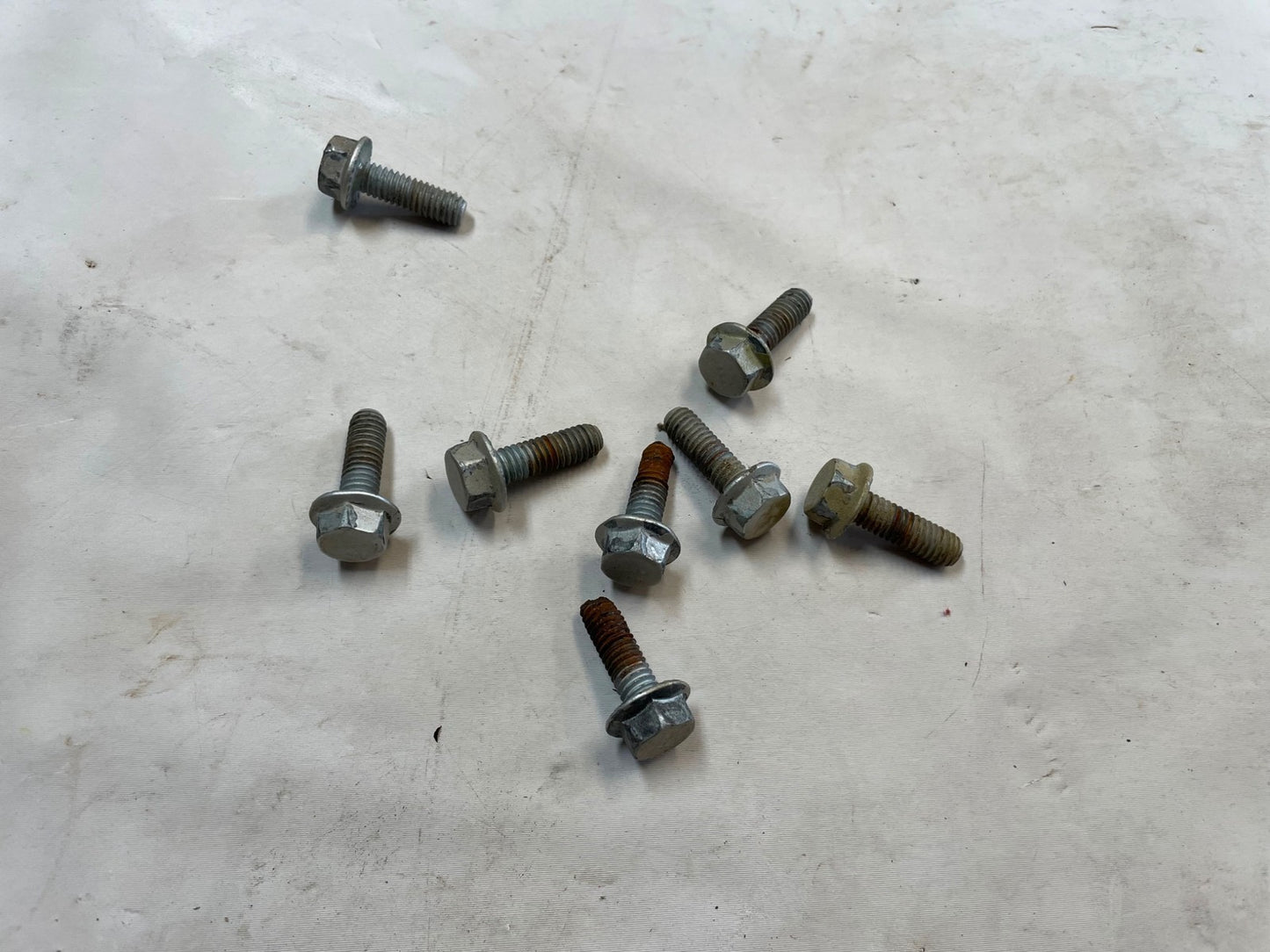 Jeep TJ Tailgate Hinges tail gate Hinge Set 04 05 06 Wrangler rear back