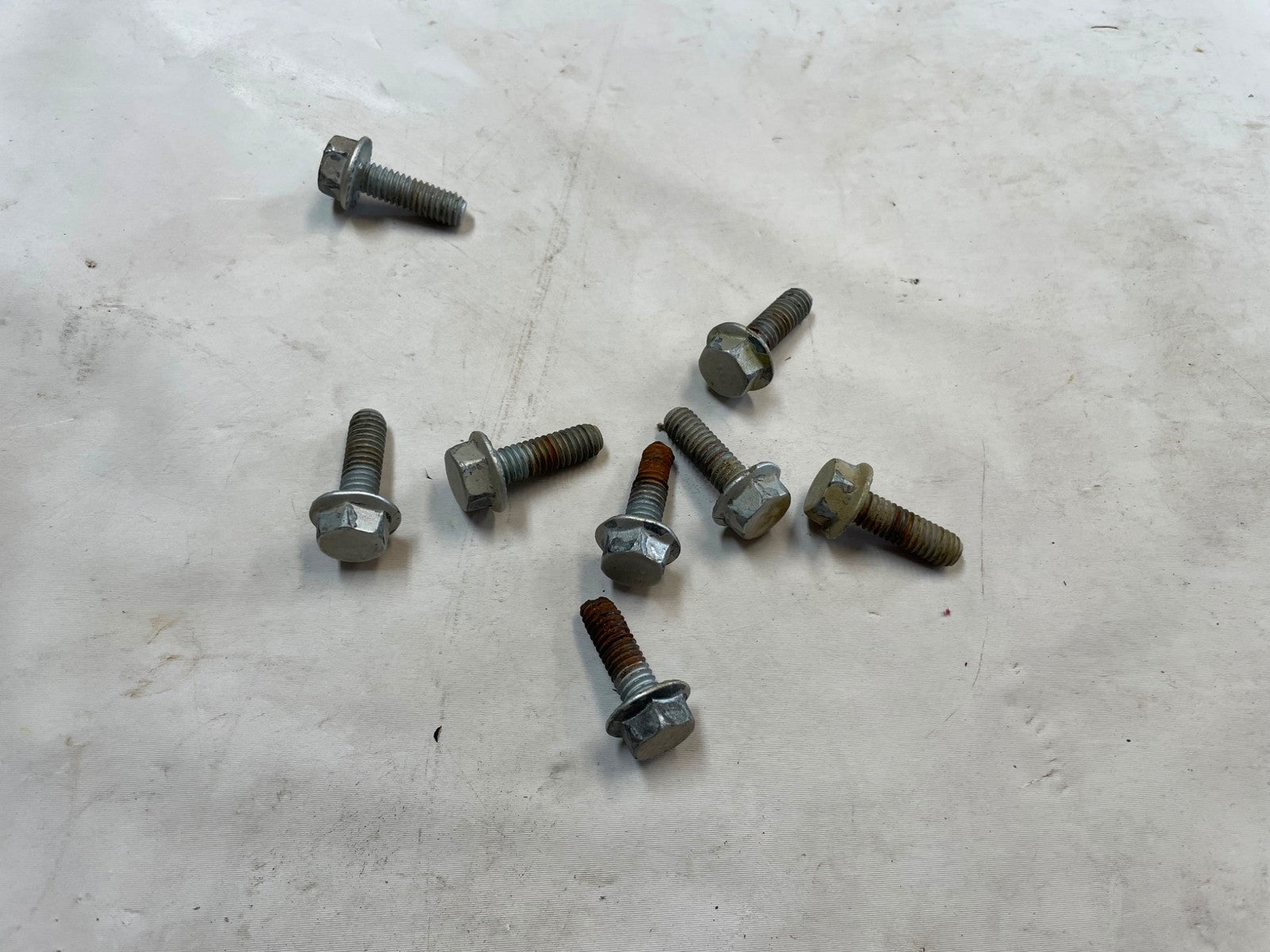 Jeep TJ Tailgate Hinges tail gate Hinge Set 04 05 06 Wrangler rear back