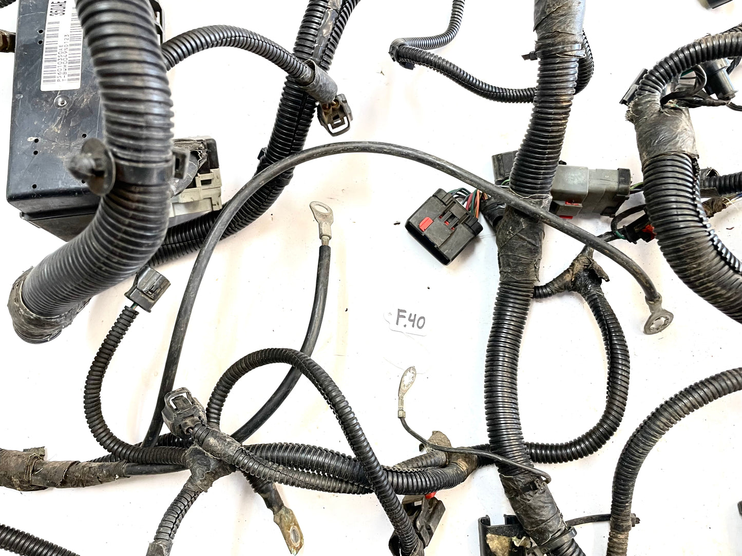 Arnés de cableado del motor Jeep TJ Wrangler 4.0, transmisión manual, P56010350AE