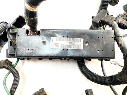 Arnés de cableado del motor Jeep TJ Wrangler 4.0, transmisión manual, P56010350AE