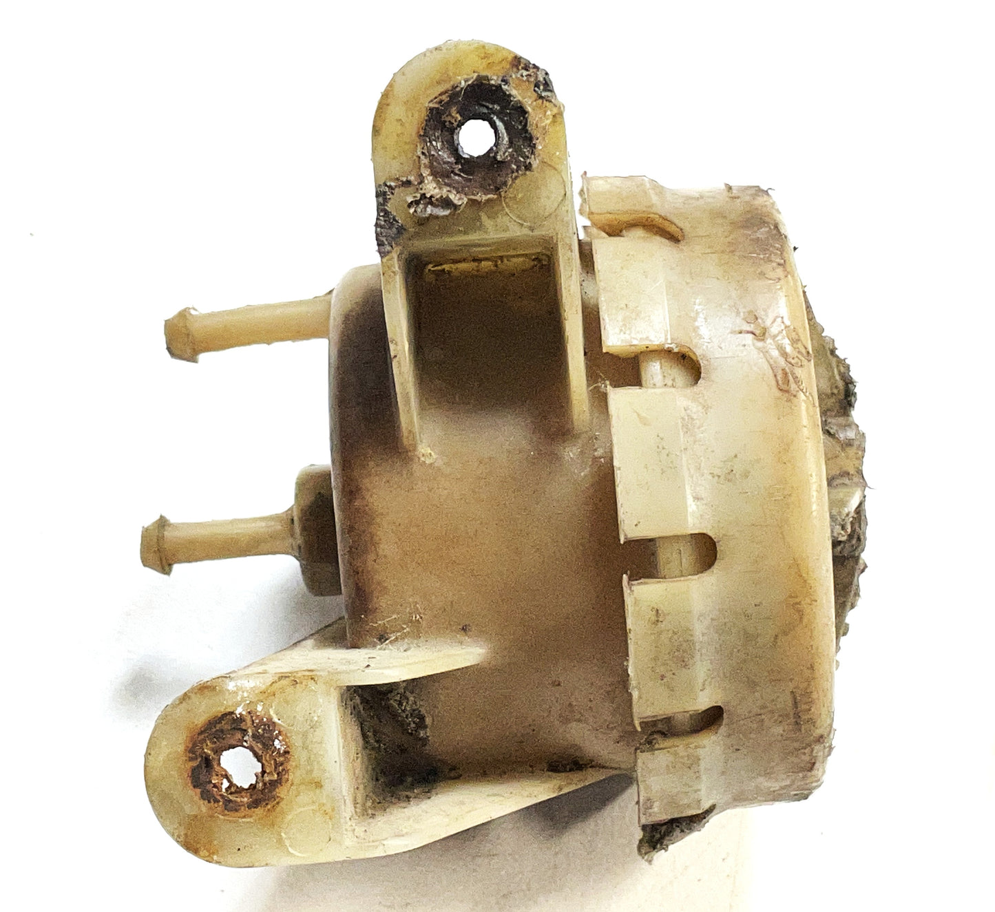 Válvula de retención de líquido Jeep CJ CJ5 CJ7 CJ8 AMC ¡ENVÍO GRATIS! 