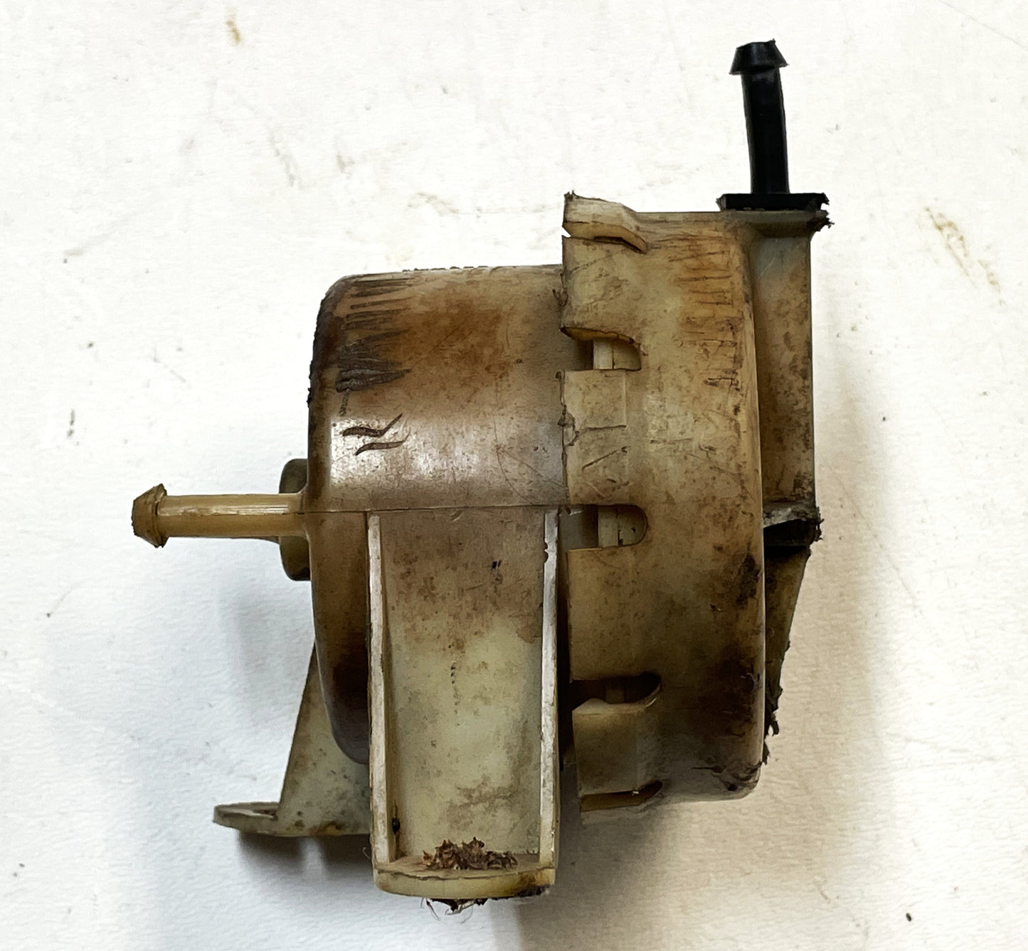 Válvula de retención de líquido Jeep CJ CJ5 CJ7 CJ8 AMC ¡ENVÍO GRATIS! 