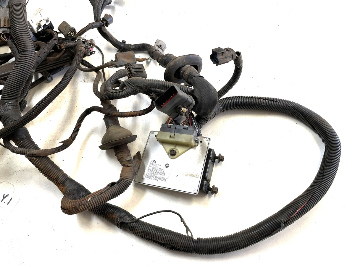 97 Jeep TJ Wrangler wiring harness 4.0 six cylinder engine manual 56010282AB