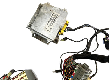 Cableado del arnés del tablero del Jeep TJ Wrangler P56009508AE ENVÍO GRATIS compatible con 99/00 