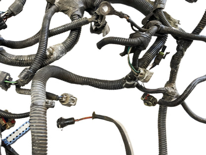 Arnés de cableado del motor Jeep TJ Wrangler 4.0, transmisión manual, cable P56010285AG