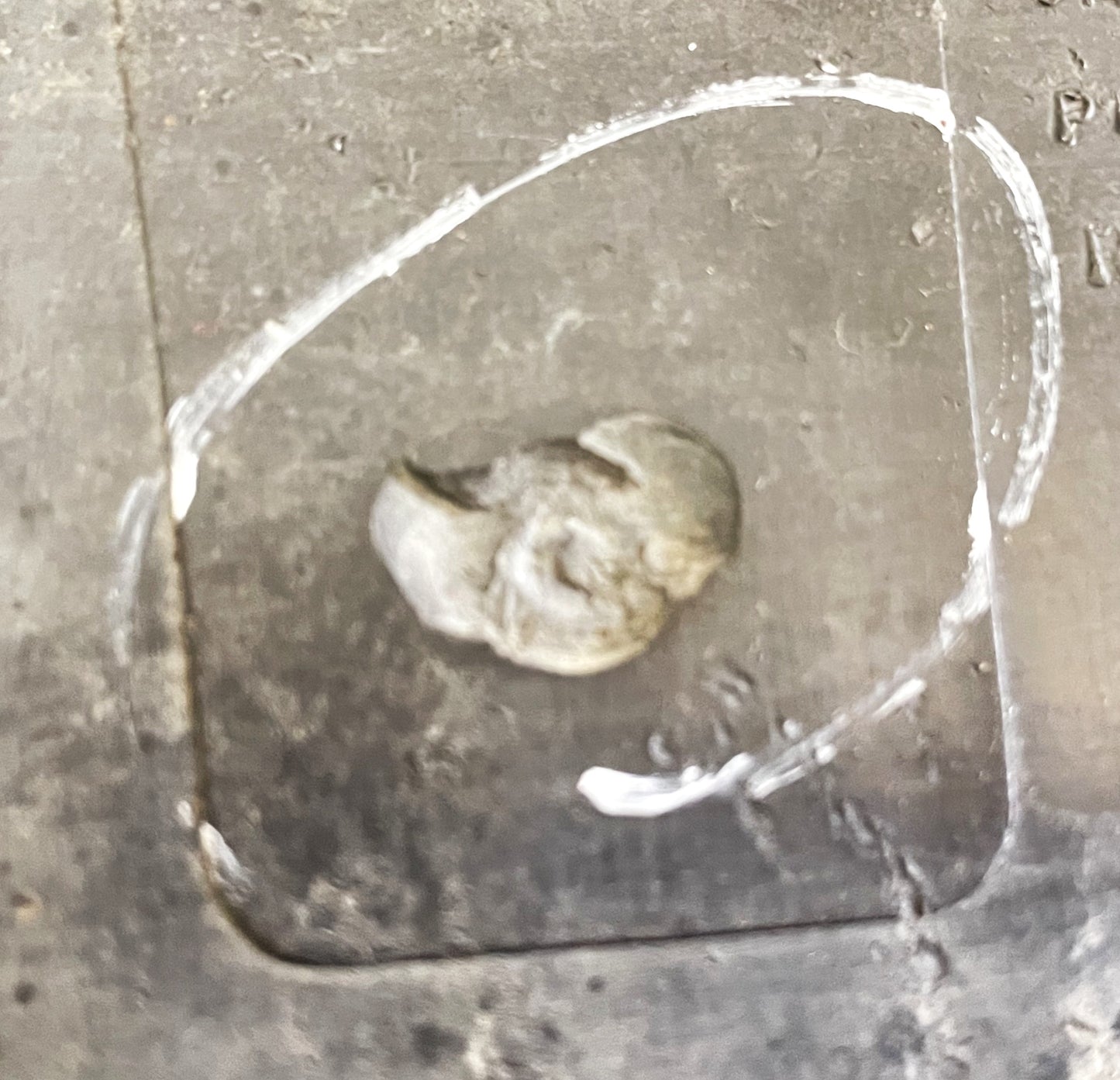 Inserto de moldura de banda de rodadura para estribo lateral de fábrica Jeep Wrangler YJ 87-95 OEM