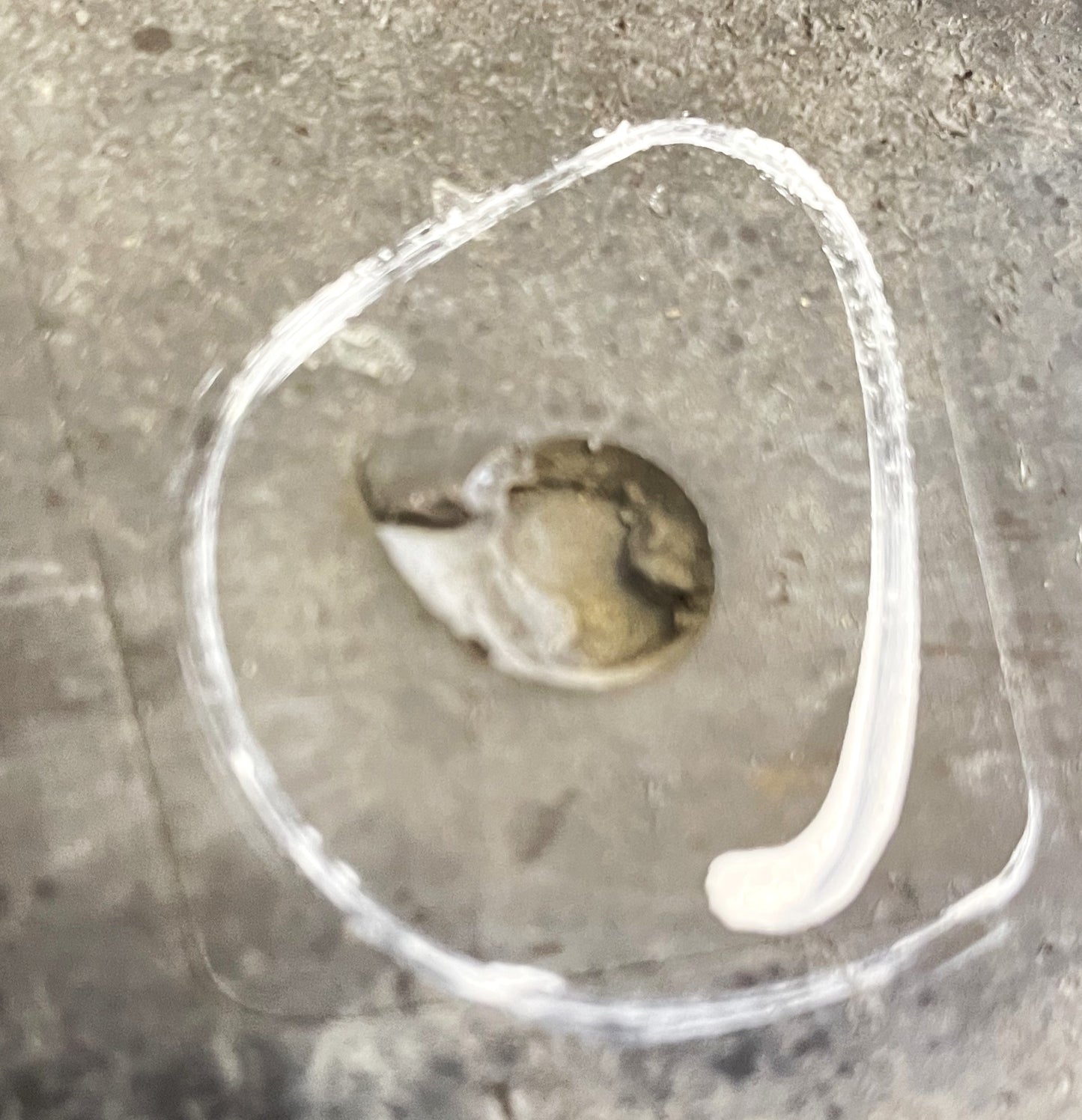 Inserto de moldura de banda de rodadura para estribo lateral de fábrica Jeep Wrangler YJ 87-95 OEM