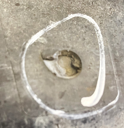 Inserto de moldura de banda de rodadura para estribo lateral de fábrica Jeep Wrangler YJ 87-95 OEM