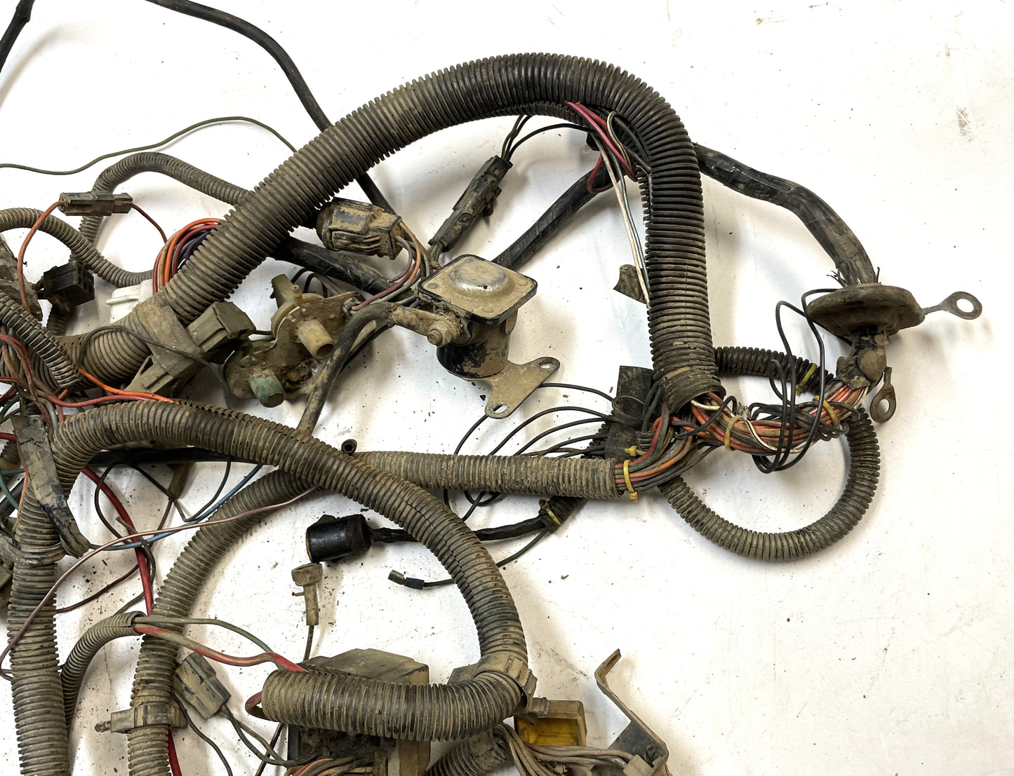 Jeep CJ 6 cylinder engine wiring harness 84-86 CJ7 CJ8 AMC wire 4.2 258 !!
