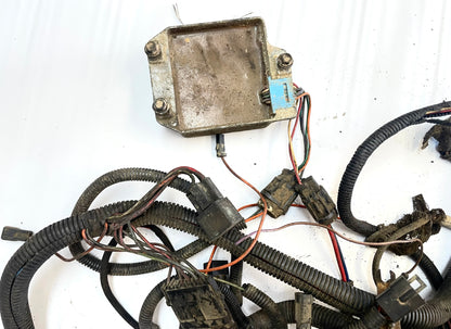 Jeep CJ 6 cylinder engine wire harness 83-86 CJ7 CJ8 AMC wiring 4.2 258