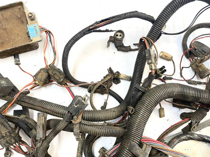 Jeep CJ 6 cylinder engine wire harness 83-86 CJ7 CJ8 AMC wiring 4.2 258