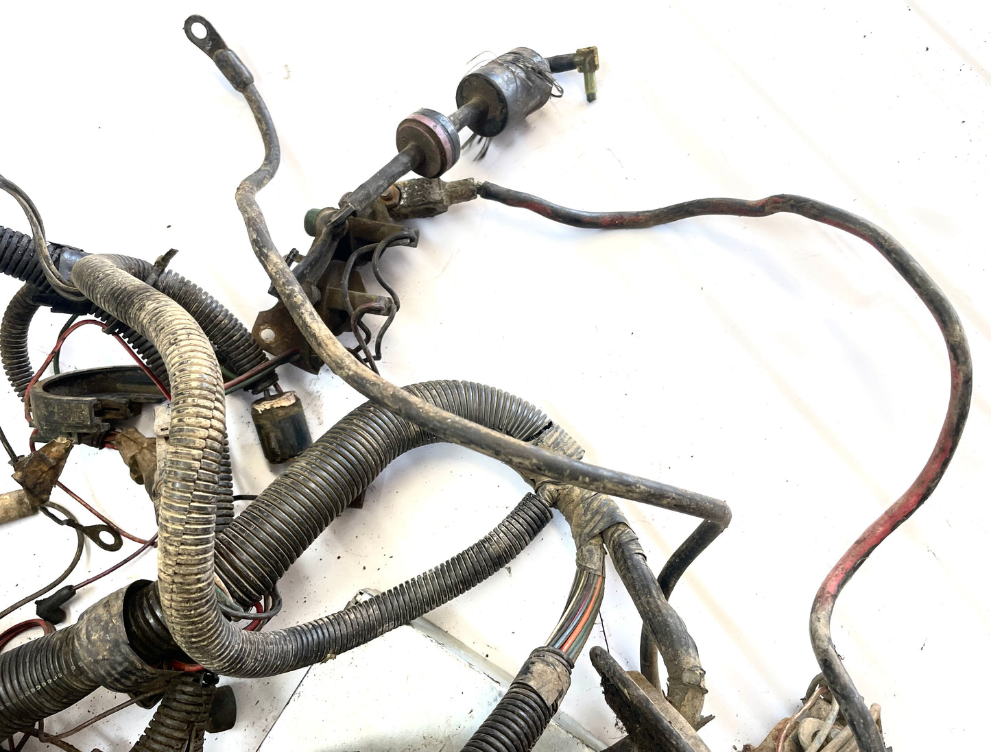 Jeep CJ 6 cylinder engine wire harness 83-86 CJ7 CJ8 AMC wiring 4.2 258