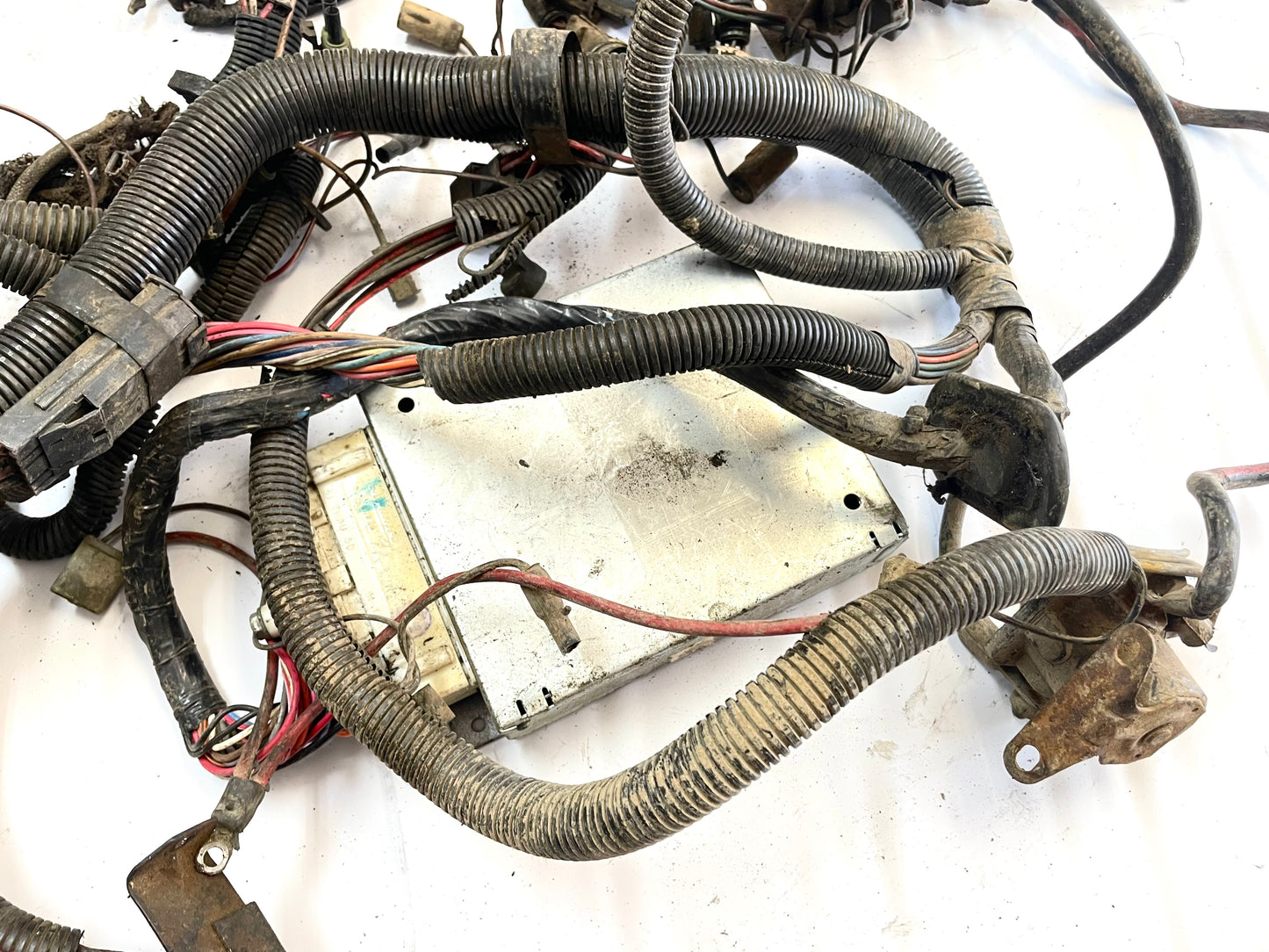 Jeep CJ 6 cylinder engine wire harness 83-86 CJ7 CJ8 AMC wiring 4.2 258