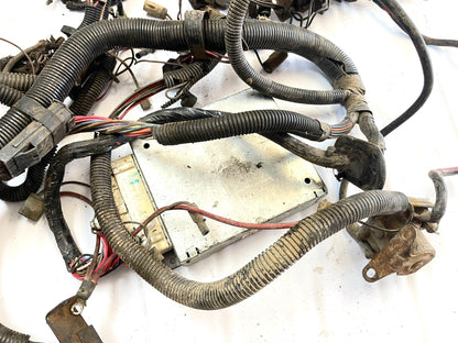 Jeep CJ 6 cylinder engine wire harness 83-86 CJ7 CJ8 AMC wiring 4.2 258