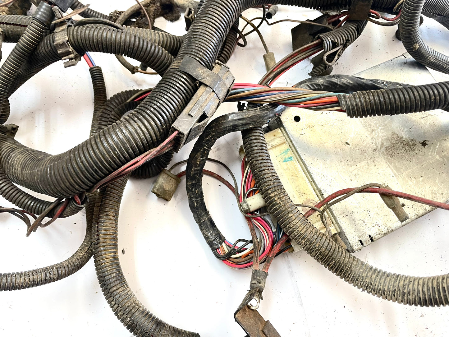 Jeep CJ 6 cylinder engine wire harness 83-86 CJ7 CJ8 AMC wiring 4.2 258