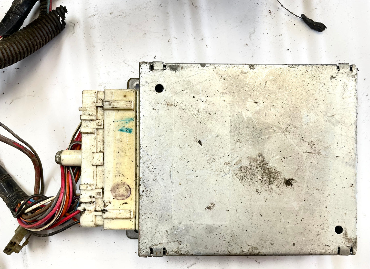 Jeep CJ 6 cylinder engine wire harness 83-86 CJ7 CJ8 AMC wiring 4.2 258