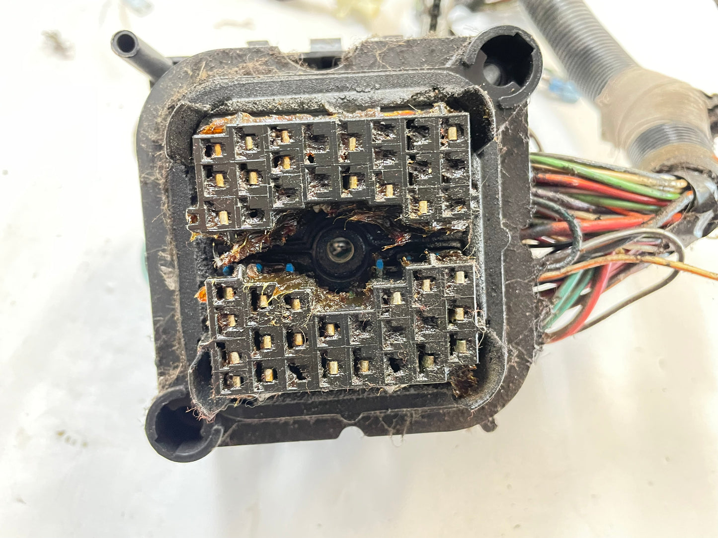 Jeep YJ Dash Wire Harness 92-95 Wrangler wiring 2.5 4.0 10 pin FREE SHIPPING