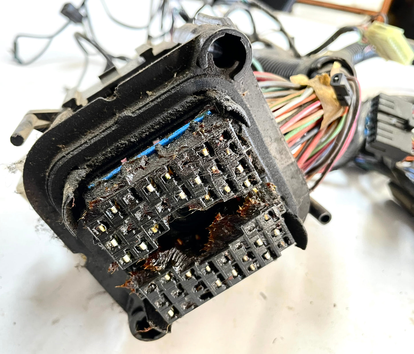 Arnés de cables para tablero Jeep YJ 92-95 Wrangler cableado 2.5 4.0 10 pines ¡ENVÍO GRATIS! 