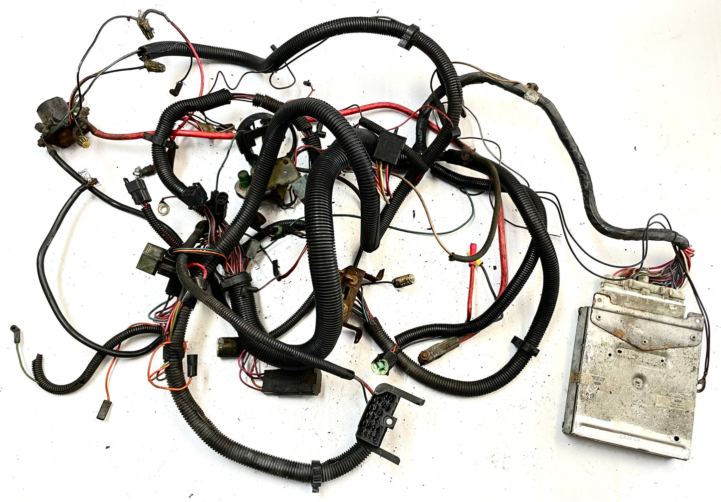 Jeep CJ 6 cylinder engine wiring harness 84-86 CJ7 CJ8 AMC wire 4.2 258