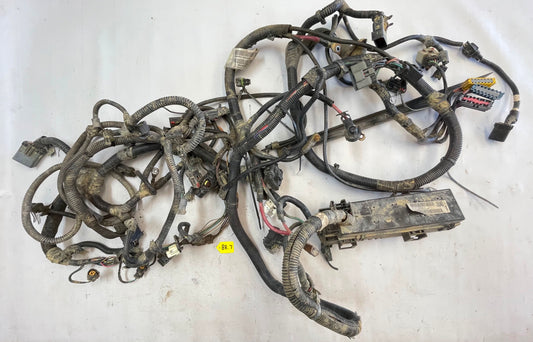 Jeep TJ Wrangler 4.0 six cylinder P56010350AD Wiring Harness Wire fits 2000