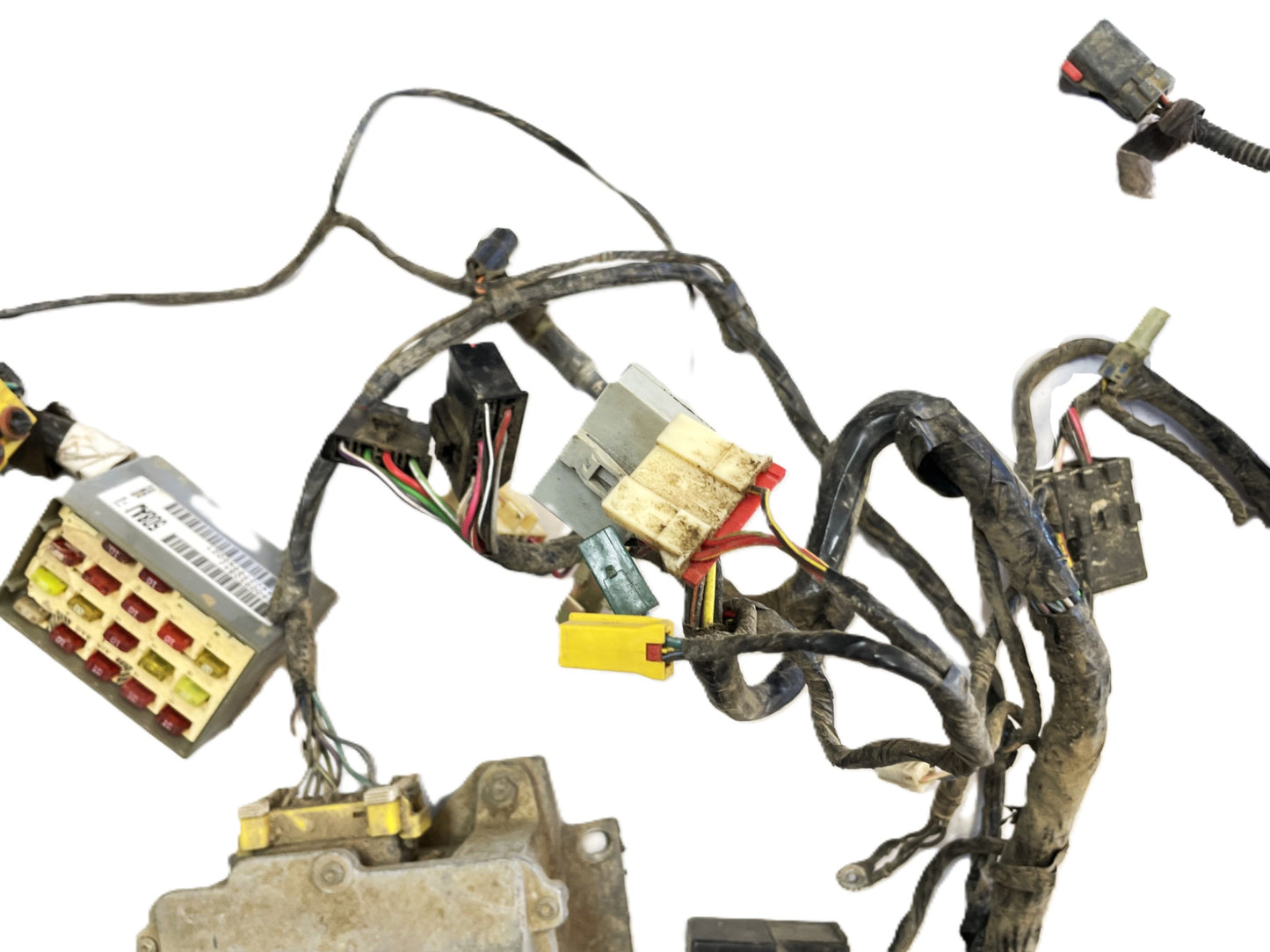 Jeep TJ 2000 Wrangler Dash Wiring Harness wire P56009508AJ cross body harness