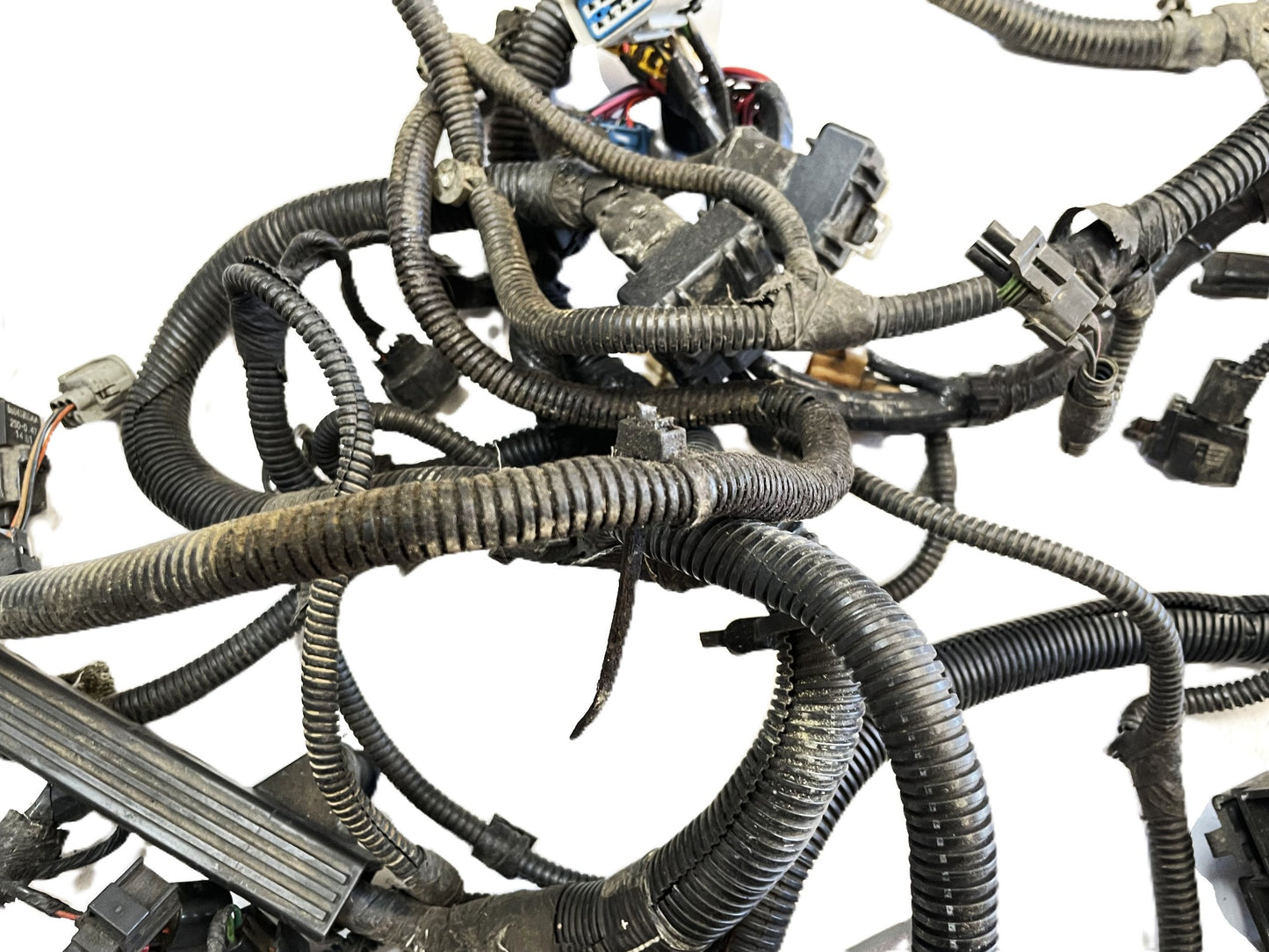 02 Jeep TJ Wrangler six cylinder engine wiring harness manual 4.0 P56047040AB