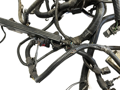 02 Jeep TJ Wrangler six cylinder engine wiring harness manual 4.0 P56047040AB