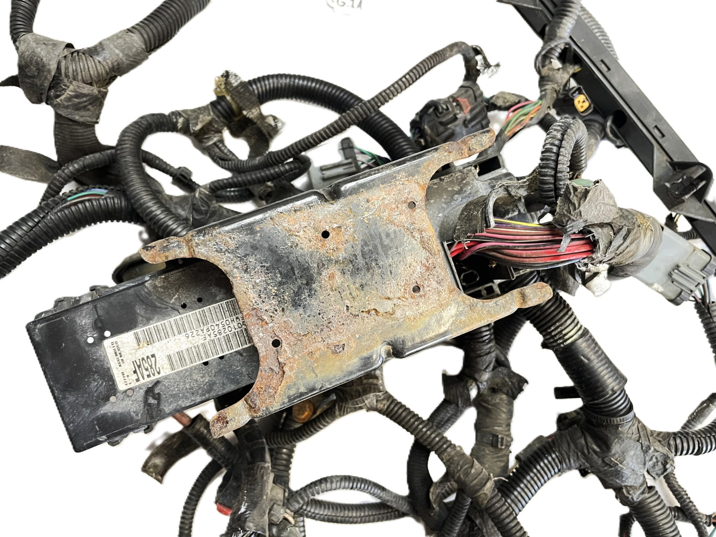 Jeep TJ 2000 Wrangler 4.0 Engine Auto Trans Wire Harness 56010285AF 56041443AI