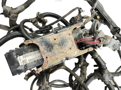 Jeep TJ 2000 Wrangler 4.0 Engine Auto Trans Wire Harness 56010285AF 56041443AI