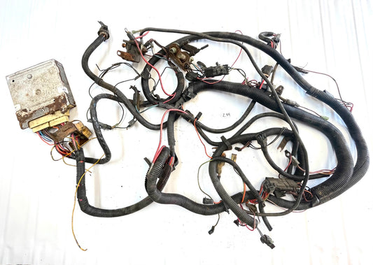 83 Jeep CJ 6 cylinder engine wire harness CJ7 CJ8 AMC wiring 4.2 258 FREE SHIP